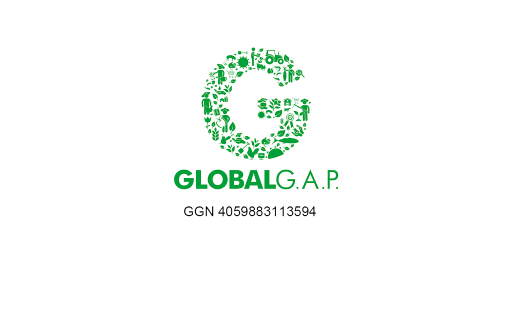 global